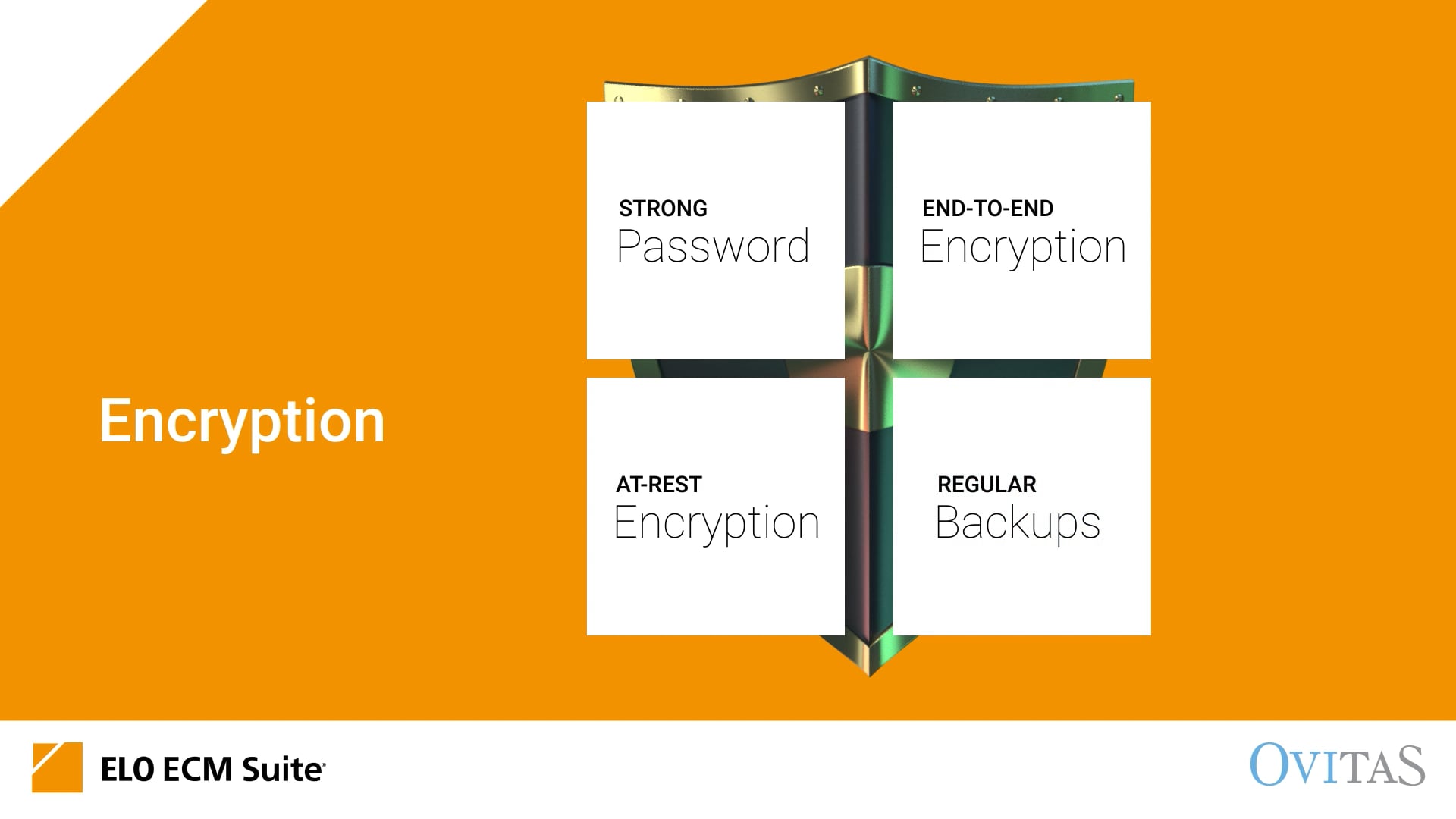 IT Security and Modern Information Management: Strengthening Your Digital Defenses